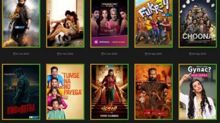 Explore Bollywood & Punjabi Cinema on Vegamovies.buzz: Find Out Now!