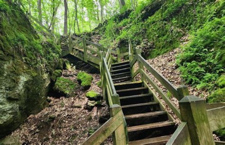Explore The City's Parks And Trails