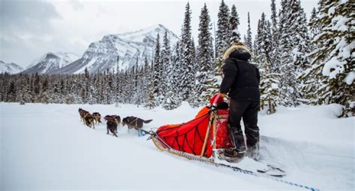 Explore The Legacy Of Sled Dog Icon Oona Gray Seppala