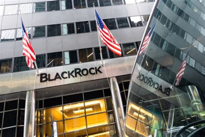 Exploring Black Rock Commercial: A Comprehensive Overview