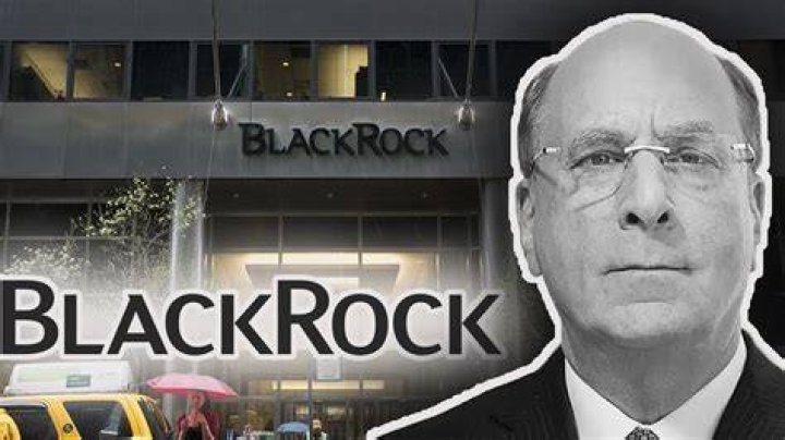 Exploring BlackRock's Vast Ownership: What Does BlackRock Own?