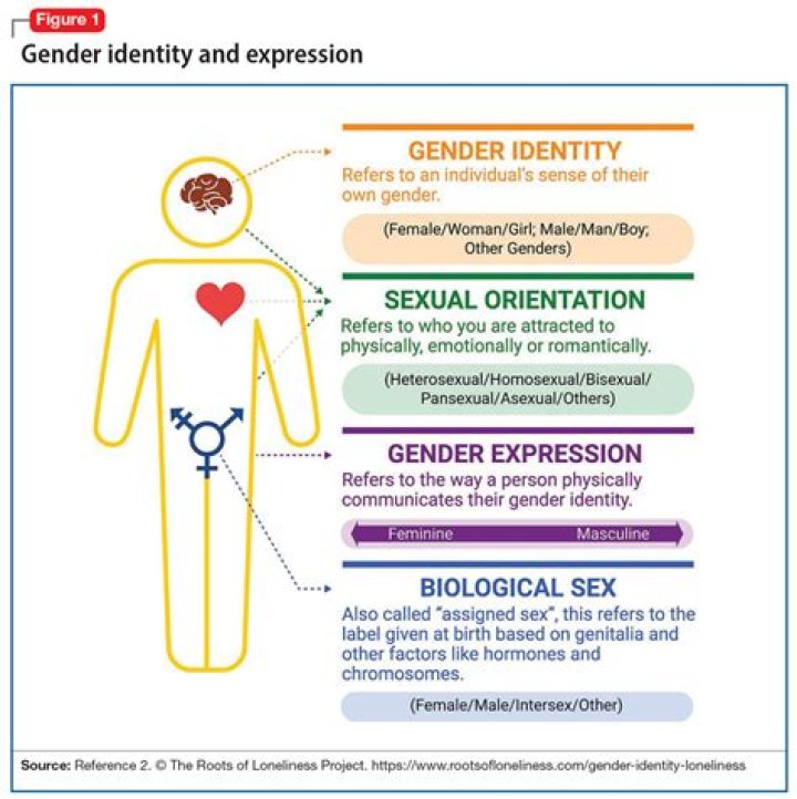 Exploring Gender, Sexuality, And Age