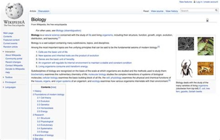 Exploring Her Wikipedia Page For Fascinating Discoveries