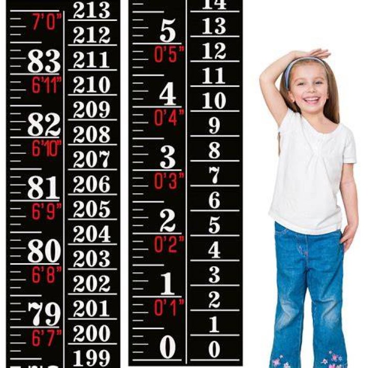 Exploring Jude Demorest's Height: What You Need To Know