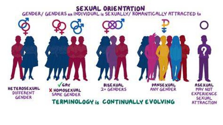 Exploring Sexuality, Representation, And Societal Impact