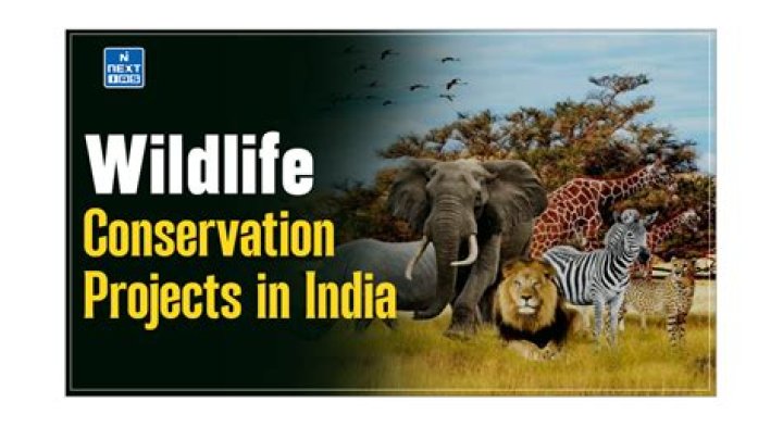 Exploring Terri Irwin's Net Worth: Behind The Scenes Of Wildlife Conservation