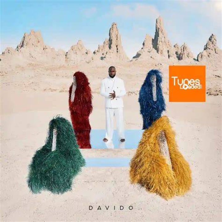 Exploring The Astonishing Wealth Of Davido