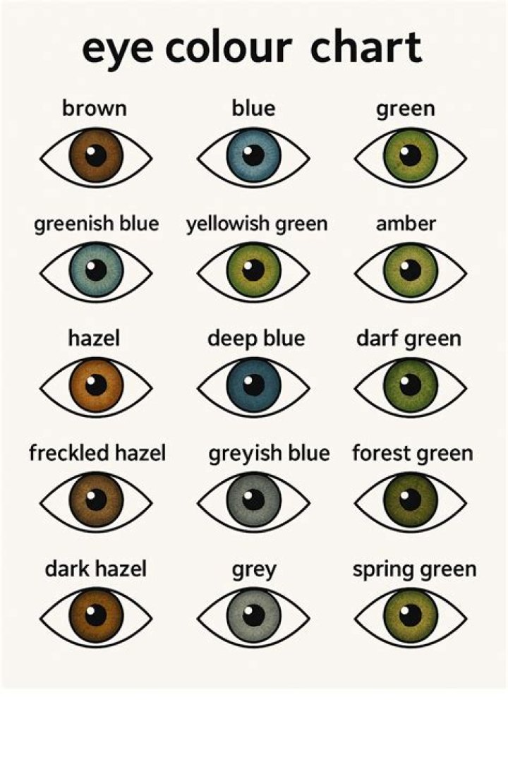 Exploring The Eye Color Of Barron Trump: A Unique Insight