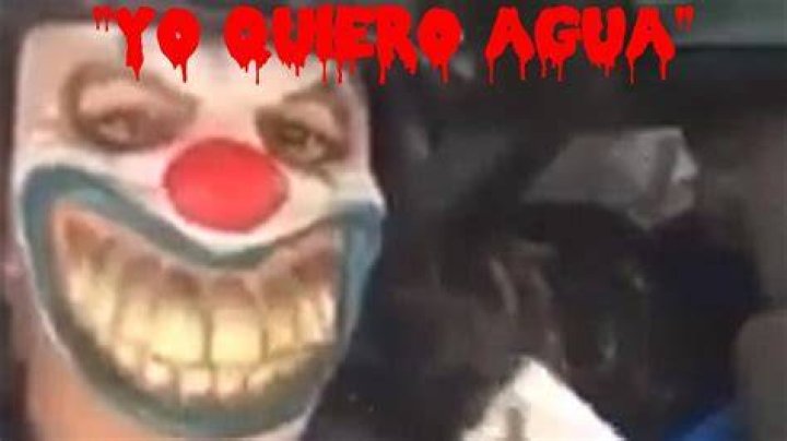 Exploring The Fascinating World Of Quero Água Gore