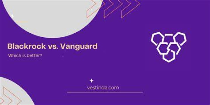 Exploring The Giants Of Investment: BlackRock And Vanguard
