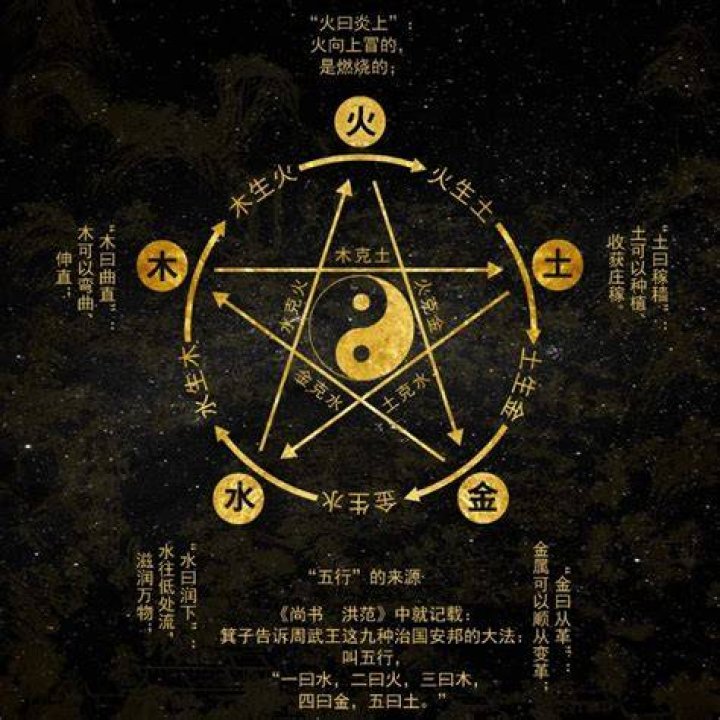 Exploring The Intriguing Journey Of Che Yin You