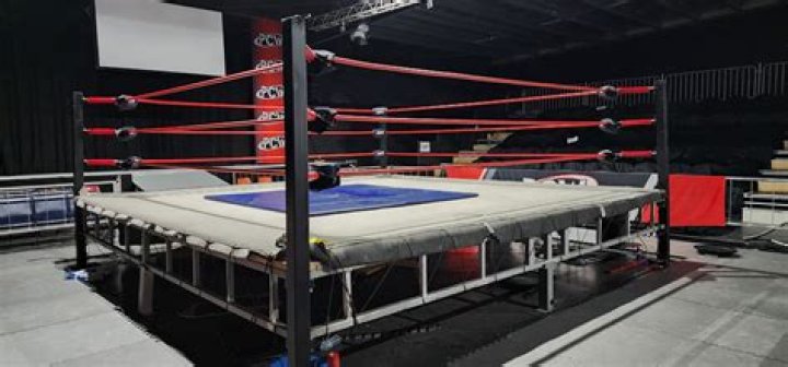 Exploring The Life, Family, And Achievements Of A Wrestling Icon