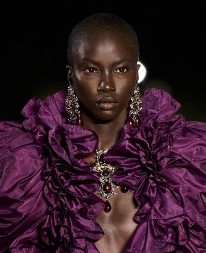 Exploring The Sudanese Model's Journey