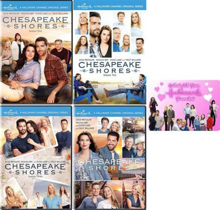Exploring The Talented Journey Of Jesse Metcalfe: Movies And TV Shows