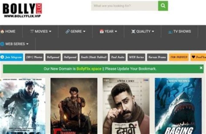 Exploring the World of Bollyflix Memes: Origins & Trends