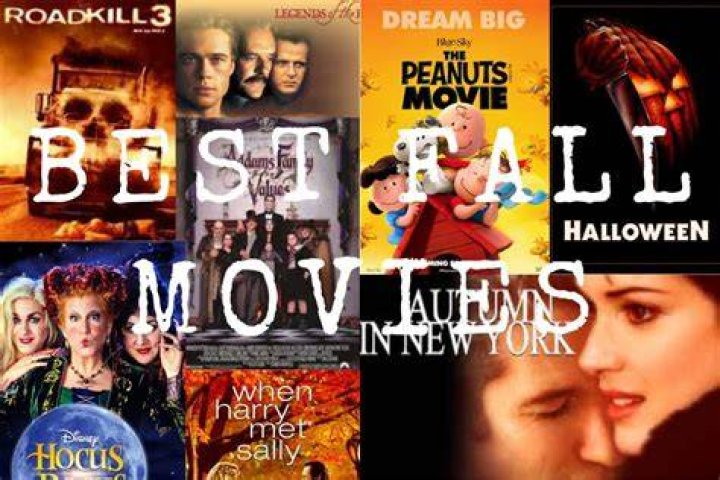 Exploring The World Of Movmovies Point: Your Ultimate Movie Streaming Destination
