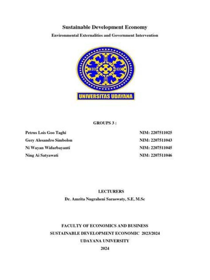 Externalities Guide
