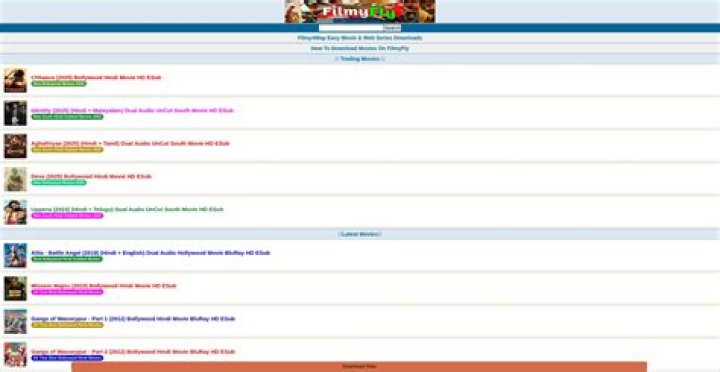Filmyfly.esq: Is It Safe? Reviews, Scam Risks & More