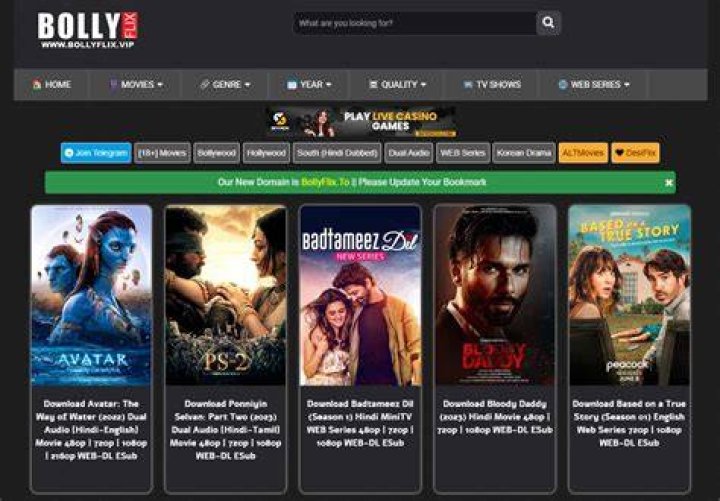 Find Indian Movies & Stream with JustWatch & Bollyflix!