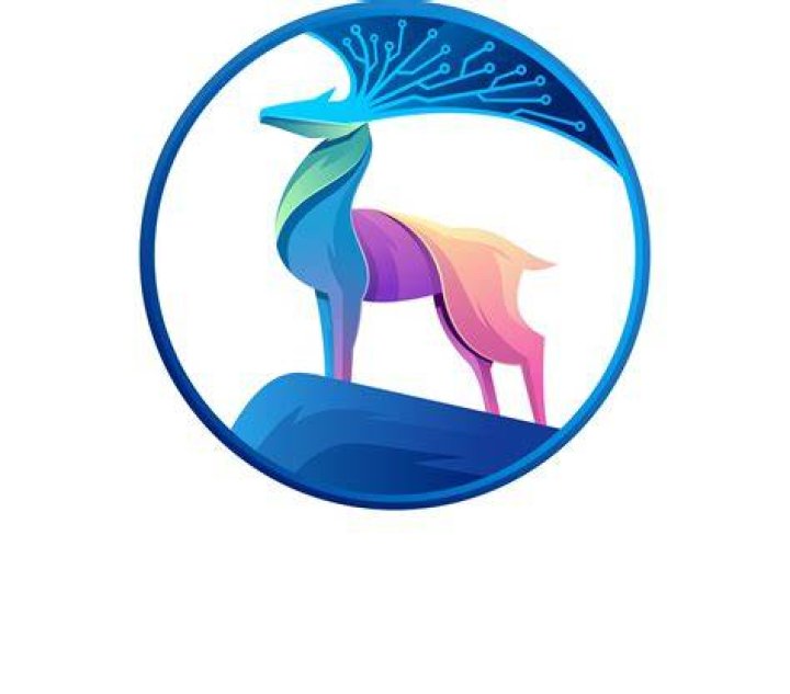 Find Somali Wasmo on Telegram - Channels & Groups!