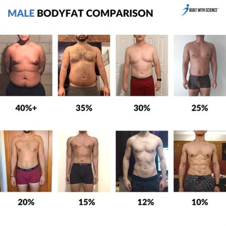 Height And Weight Insights For "5'8 140 Lbs Male"