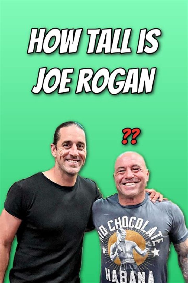 Height Revelations Of Joe Gorga