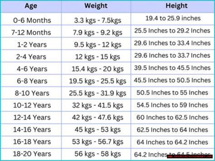 Height, Weight, Age, Boyfriend, And Family