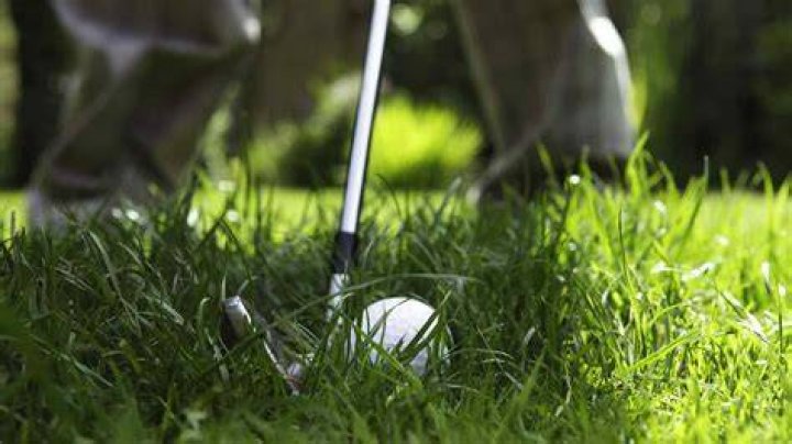 Hitting The Rough: Golf Shots Gone Awry Crossword Puzzle