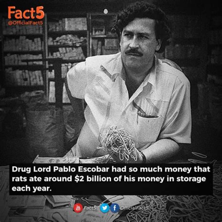 How Much Money Did Pablo Escobar Make Each Day?