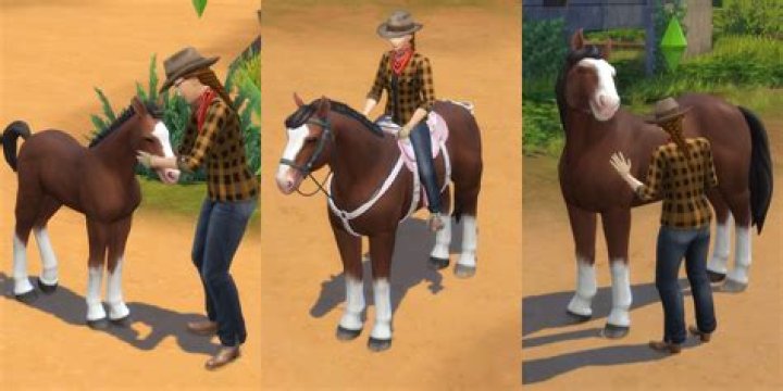 How To Rapidly Age Up Horses In The Sims 4