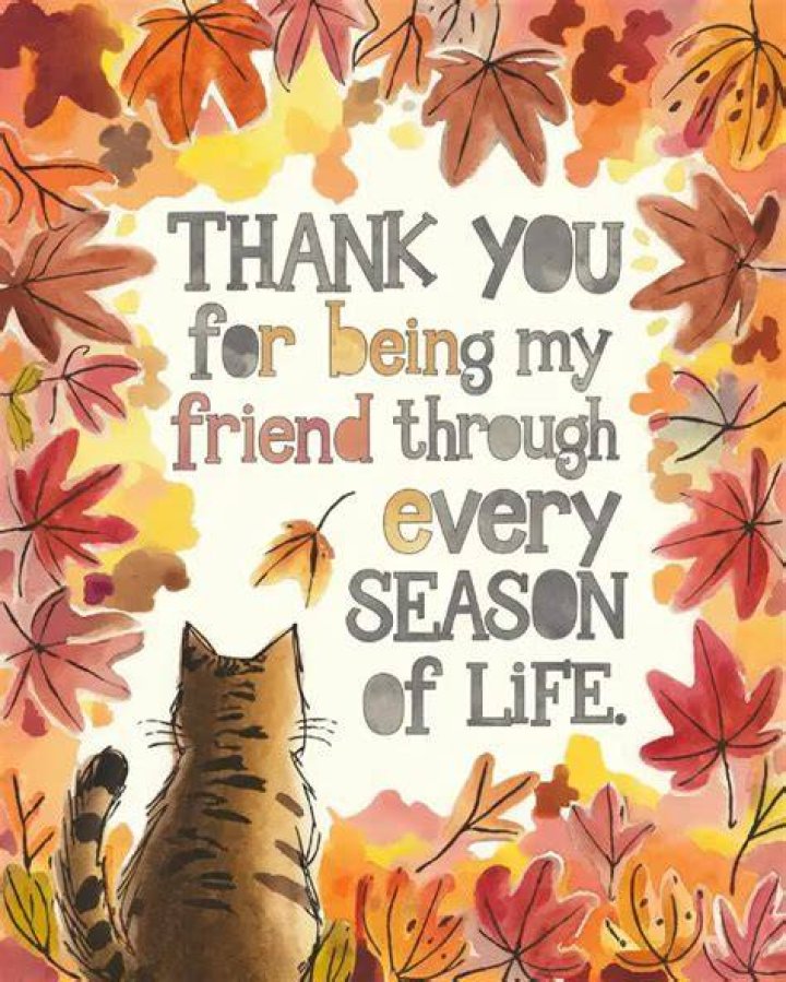"I'm Thankful For You, My Friend"