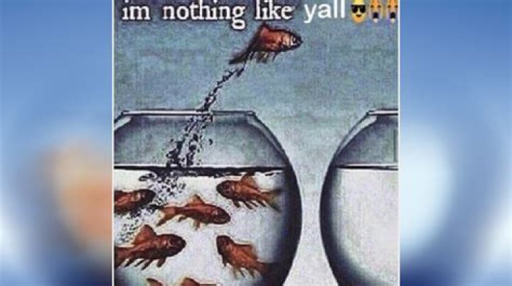 "I'm Nothing Like Y'all" Meme: Origin & TikTok Trend