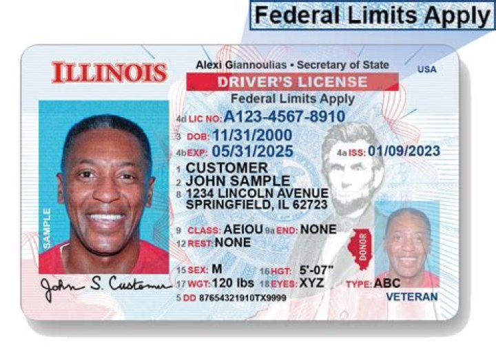 Illinois License Lookup: Find Professionals & Verify Credentials Now!