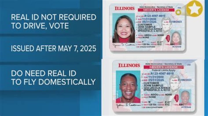 Illinois License Lookup & Regulations: Find Info Now!