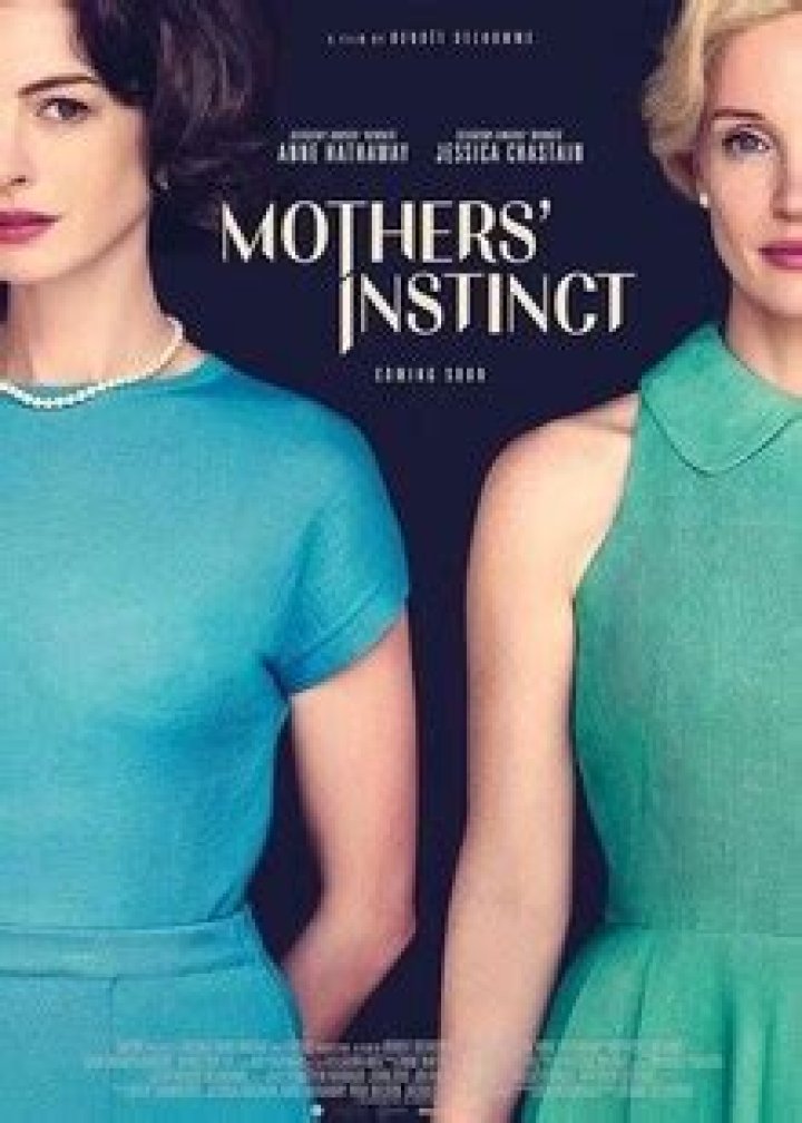 Inside The "Mothers' Instinct" Ending For Andi19