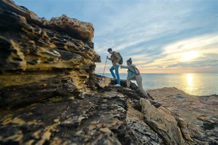 Insights Into "Cliff Branch Wife"