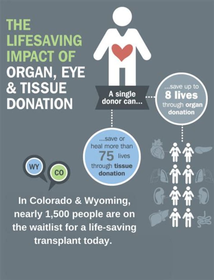 Insights Into Organ Donation And Saving Lives