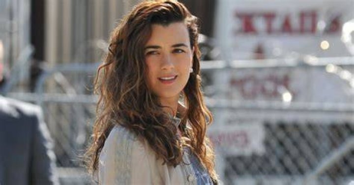 Introducing Cote De Pablo's Baby: A Glimpse Into Family Life