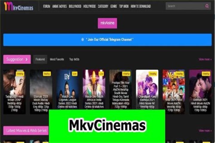 Is Mkvcinemas.phd Safe? Stream Movies Legally
