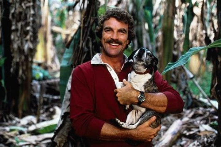 Is Tom Selleck Really Dead? Uncovering The Truth Behind The Rumors