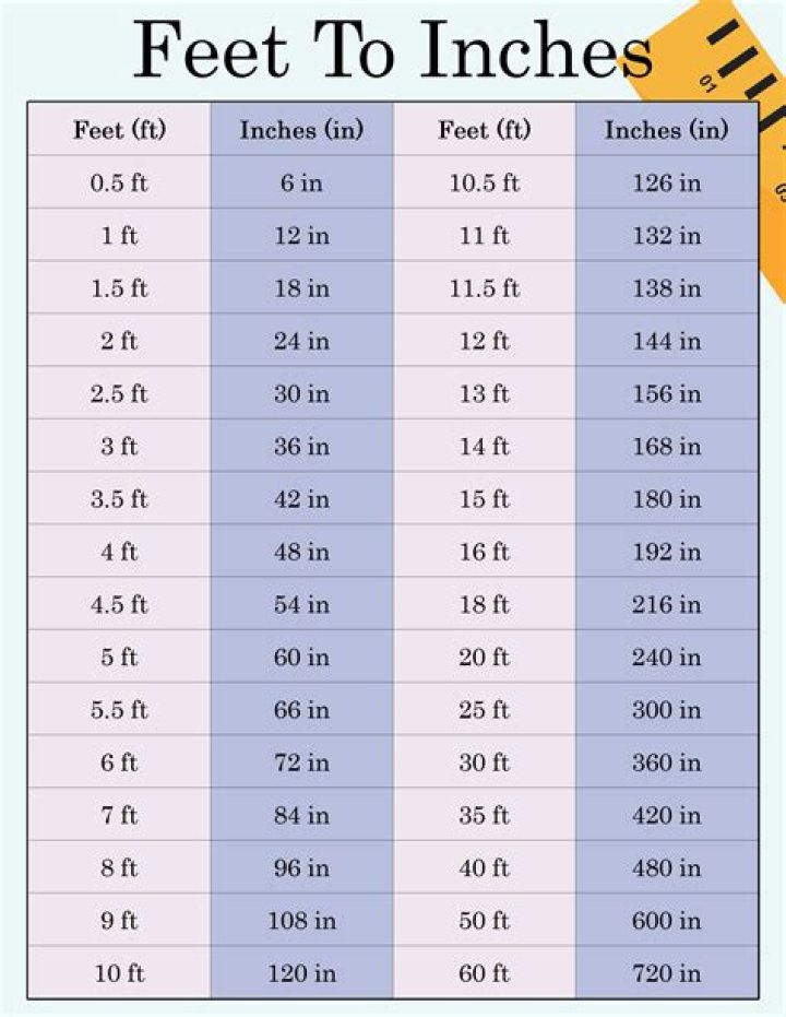 Jack Black's Height Revealed In Feet And Inches