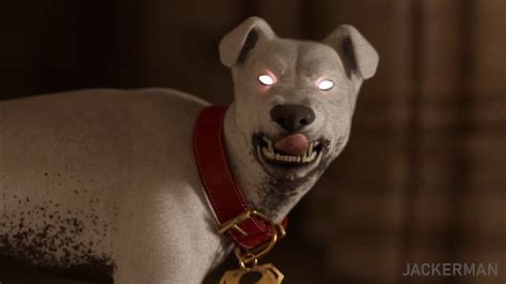 Jackerman 3D Animation: A New Revolution