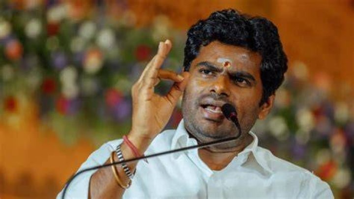 K. Annamalai: The Journey From Birthplace To Prominence