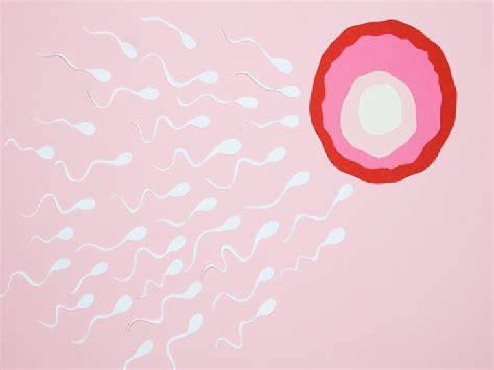 Katie Lee's Pregnancy And Fertility Insights