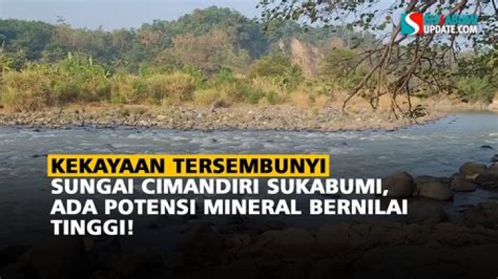Kekayaan Tersembunyi Shauna Sand: Terungkap!