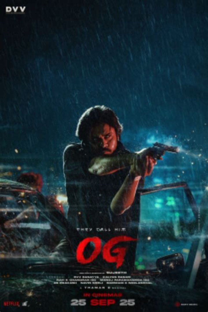 Latest Movie Updates & Filmyfly Alternatives | Find Here!