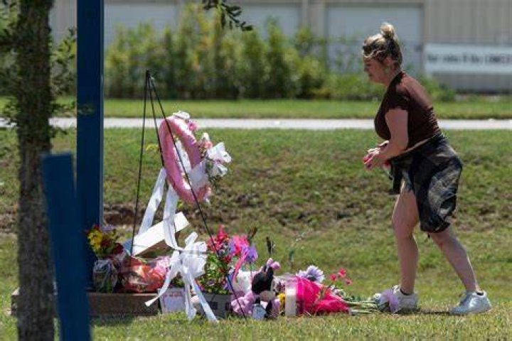 Latest News On Sun Herald's Aubreigh Wyatt