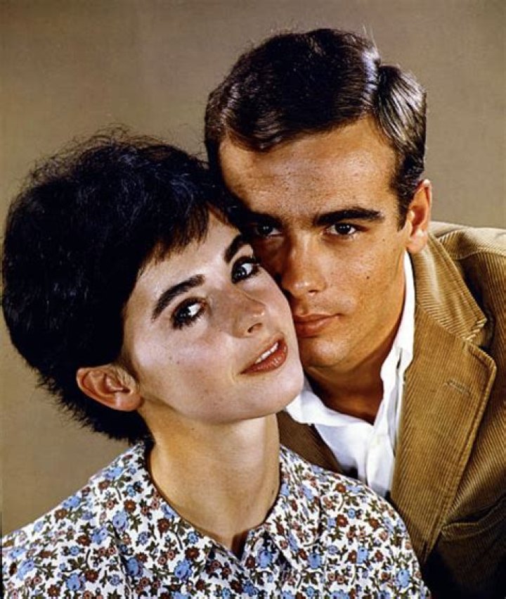 Legendary Hollywood Duo: The Enduring Legacy Of Dean Stockwell And Millie Perkins