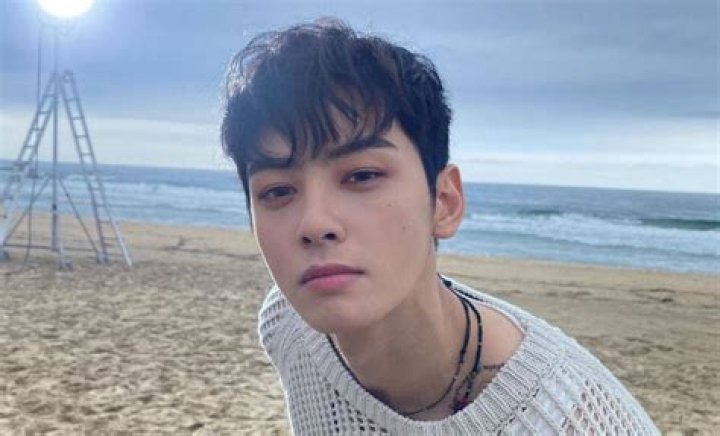 Love In The Spotlight: Cha Eun Woo And Rose Are Dating?