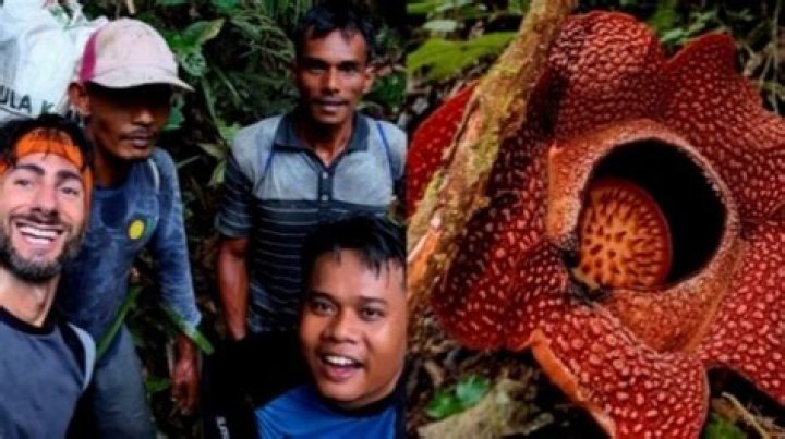 Menyingkap Orang Tua Chris Olave: Penemuan Dan Wawasan Eksklusif